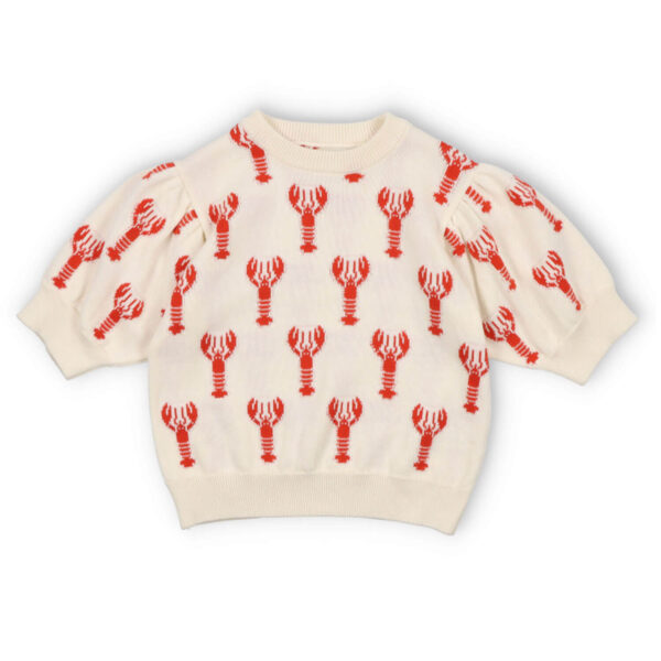 The New Society Oia Knit Top Lobster