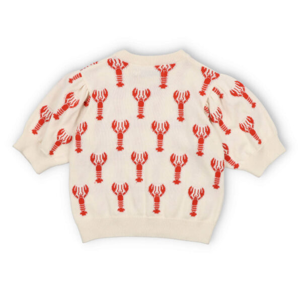 The New Society Oia Knit Top Lobster - Image 2