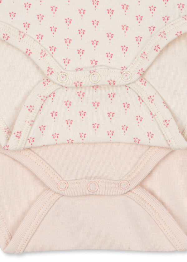 Fanga Fontana Bello 2 Pack Body "Blush Mix" - Image 4