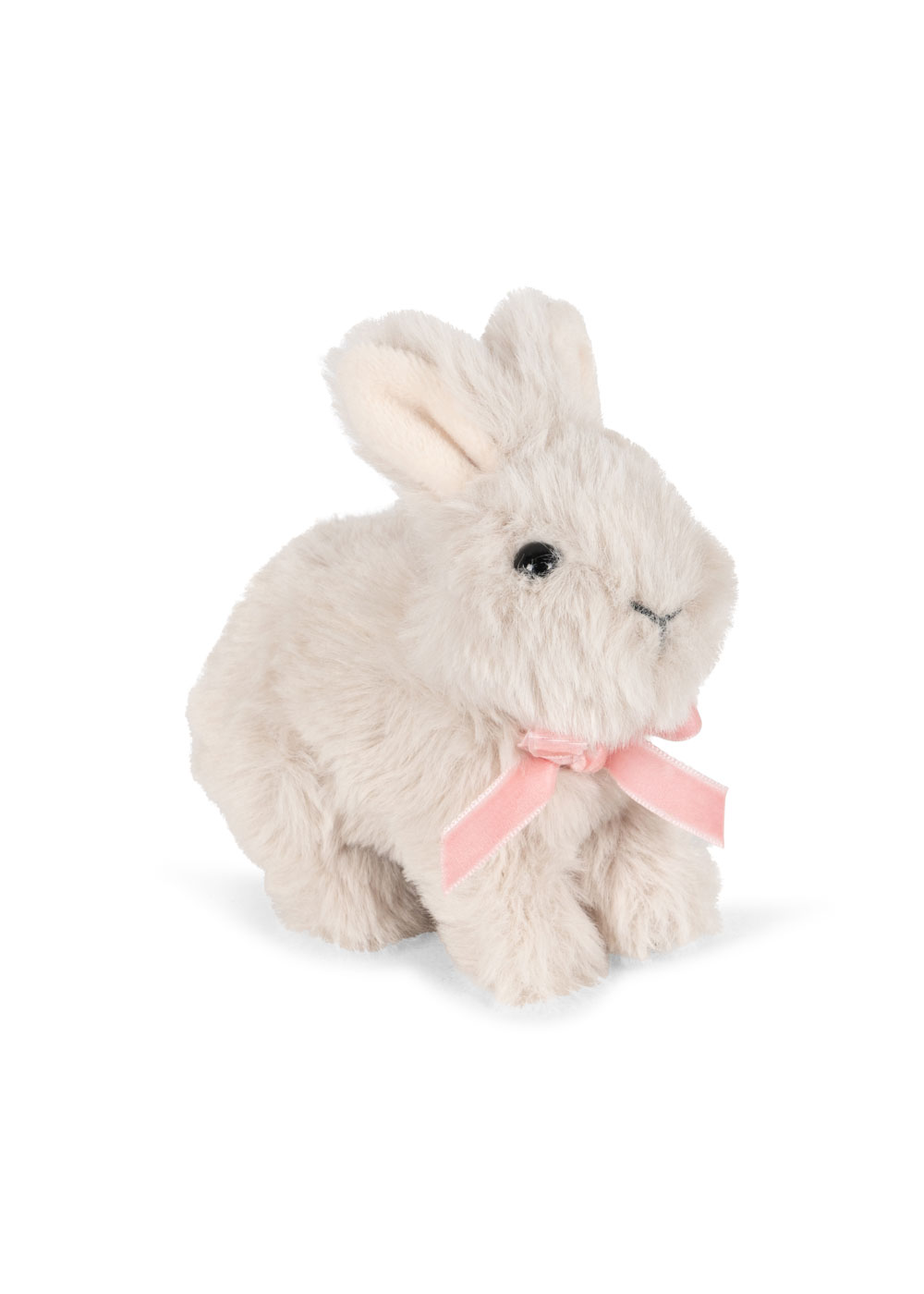 baby rabbit